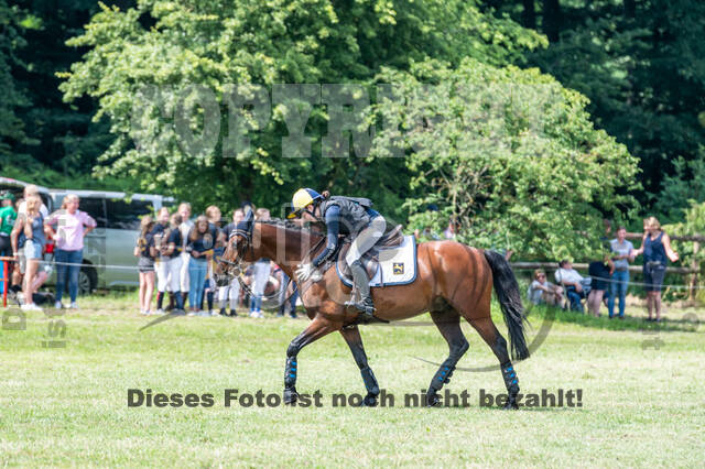 Goldene Schärpe 2021 - Ponys