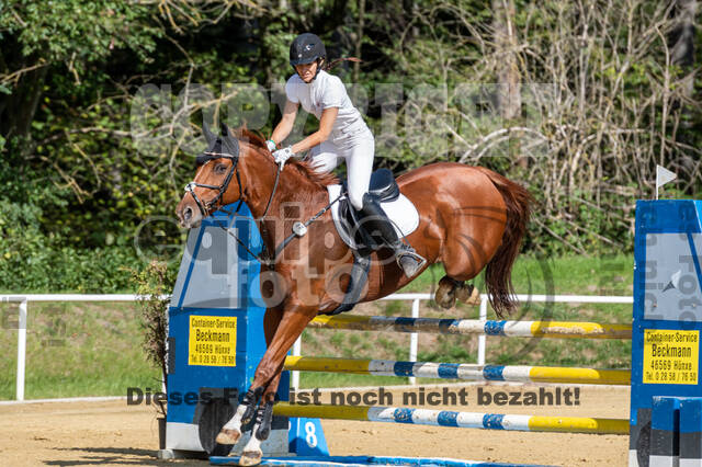 RFV Dinslaken-Hiesfeld (Herbstturnier)