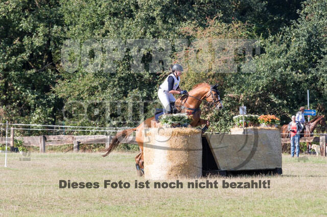 Vielseitigkeitsturnier RSV St. Hubertus Wesel Obrighoven