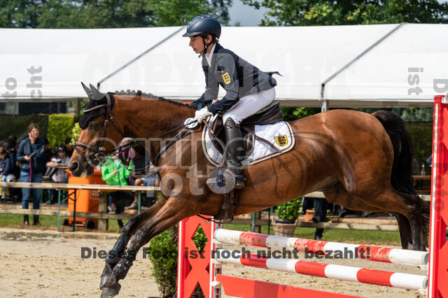 Goldene Schärpe 2021 - Ponys