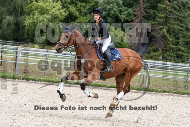 Late-Entry-Vielseitigkeit Langenfeld (06.+07.07.2020)