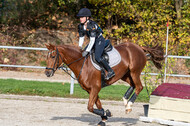 IGV Lehrgang der Sieger der Cups mit Frank Ostholt