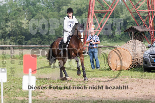 Vielseitigkeitsturnier ZRFV von Lützow Hamminkeln