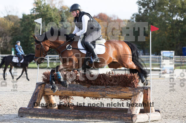 IGV Lehrgang der Sieger der Cups mit Frank Ostholt