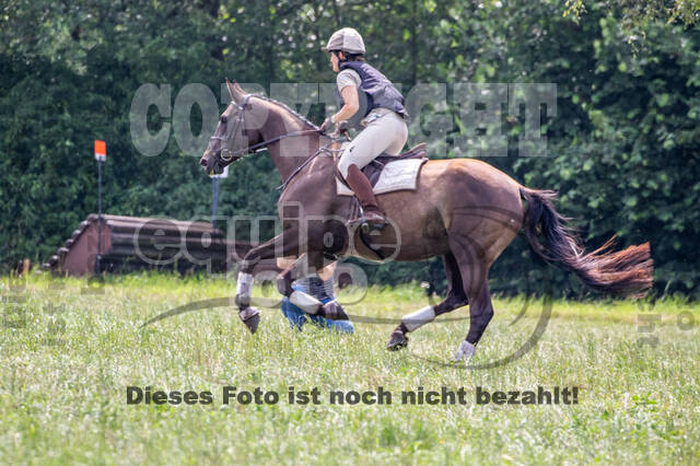 Late-Entry-Vielseitigkeit Gahlen (18.07.2020)