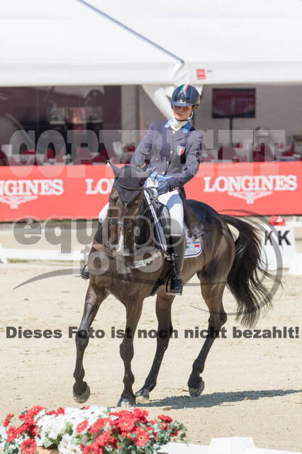 FEI European Championship
