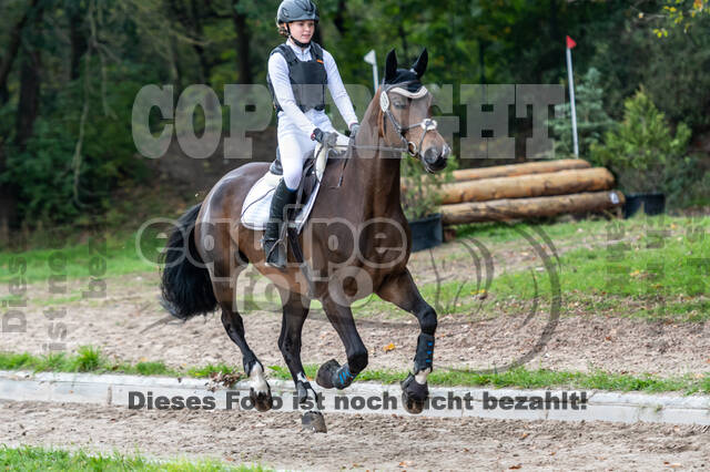 Goldene Schärpe 2020 - Pferde