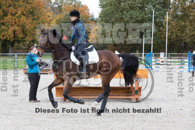 IGV Lehrgang der Sieger der Cups mit Frank Ostholt