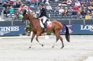 FEI European Championship Eventing 2019