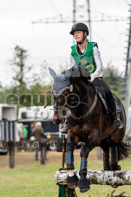 Vielseitigkeit RSV Wesel Obrighoven (26.+27.09.2020)