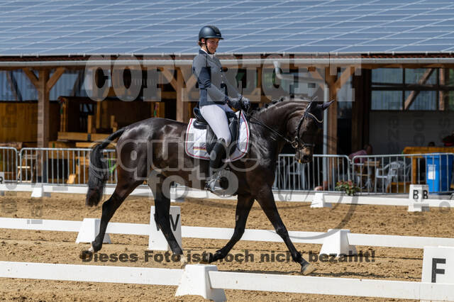 Westerstede Horse Trials 2021