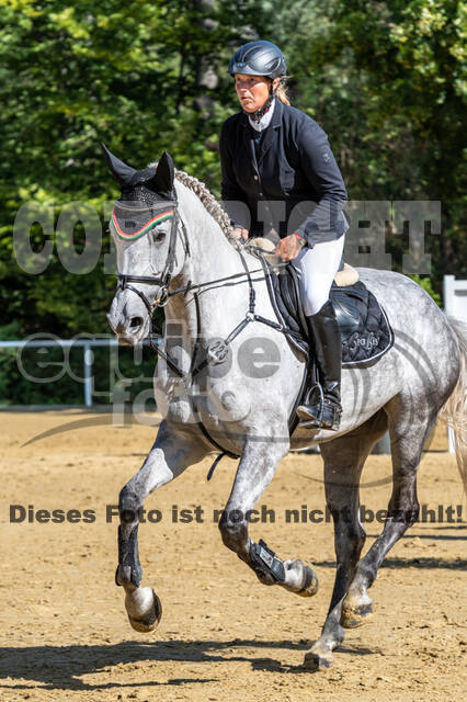 RFV Dinslaken-Hiesfeld (Herbstturnier)
