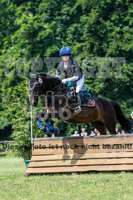 Goldene Schärpe 2021 - Ponys