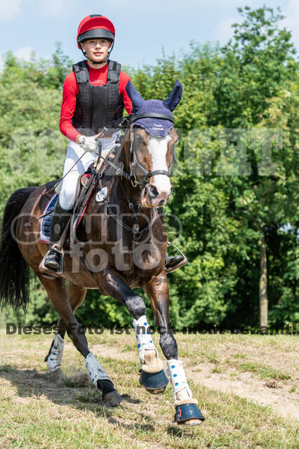 Goldene Schärpe 2021 - Ponys