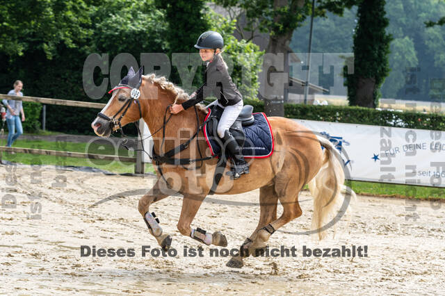 Goldene Schärpe 2021 - Ponys