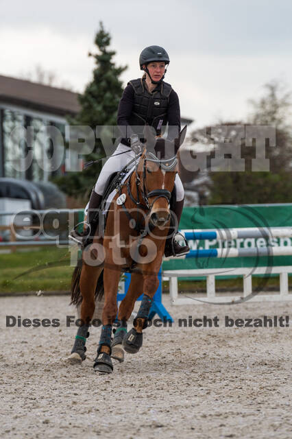 Eventing im Pferdesportzentrum Rheinland (Late Entry 14.03.2022)