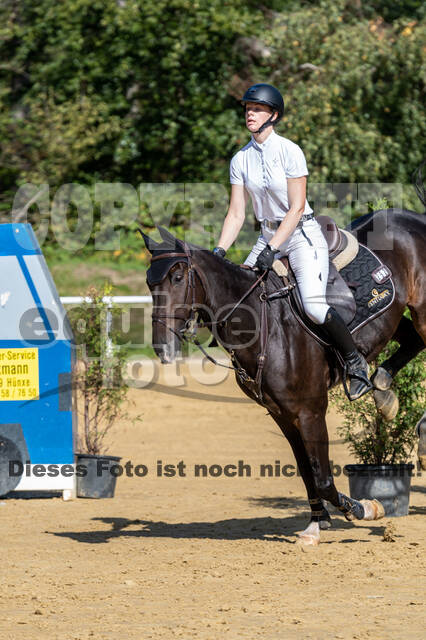 RFV Dinslaken-Hiesfeld (Herbstturnier)