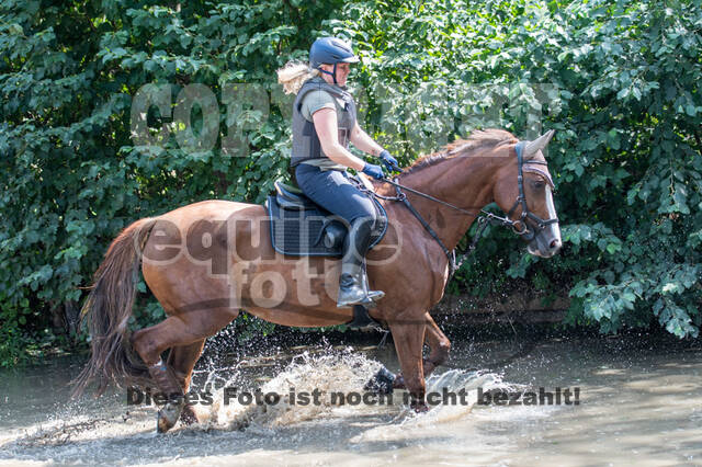 Hunter Geländetraining (16.08.2020)