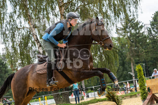Hunter Geländetraining 10.07.2021 (Sonsbeck)