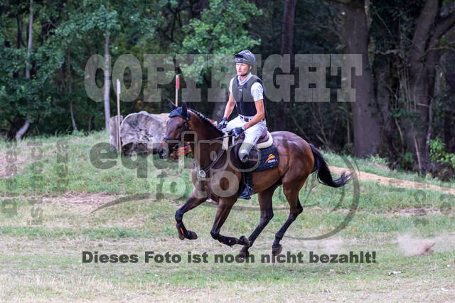 Late-Entry Vielseitigkeit Hamminkeln/Wesel (01.+02.08.2020)