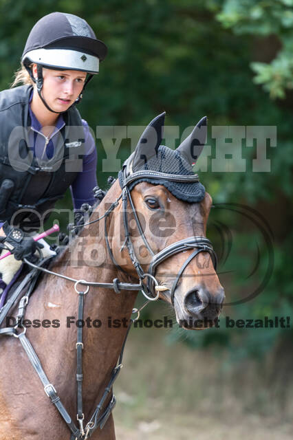 Late-Entry-Vielseitigkeit Langenfeld (11.+13./14.06.2020)