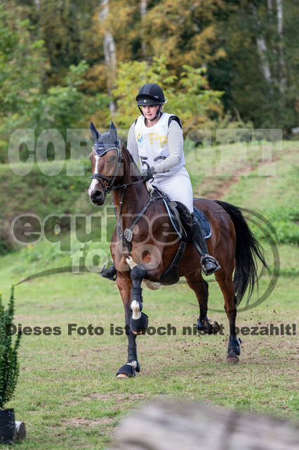 Vielseitigkeit RSV Wesel Obrighoven (26.+27.09.2020)
