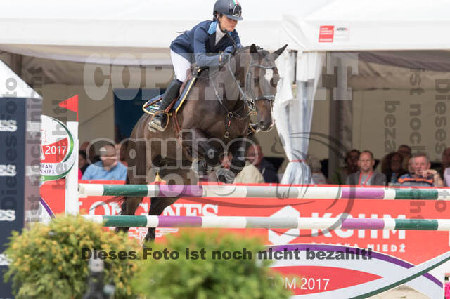 FEI European Championship