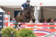 FEI European Championship