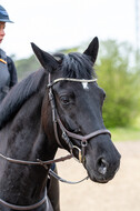 Geländetraining ZRFV Hamminkeln (24+25.04.2021)