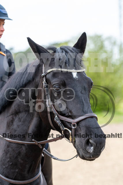 Geländetraining ZRFV Hamminkeln (24+25.04.2021)