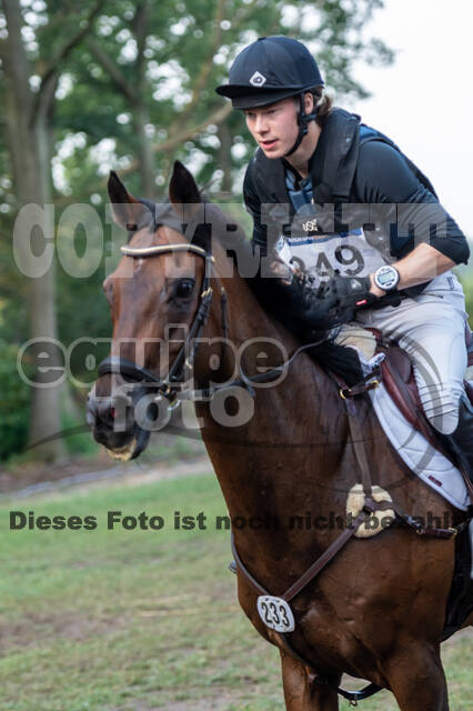 De Peelbergen (August 2020)