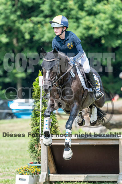 Goldene Schärpe 2021 - Ponys