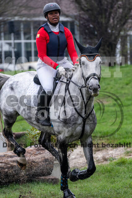 Goldene Schärpe 2020 - Pferde