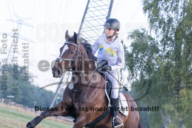 Vielseitigkeitsturnier RSV St. Hubertus Wesel Obrighoven