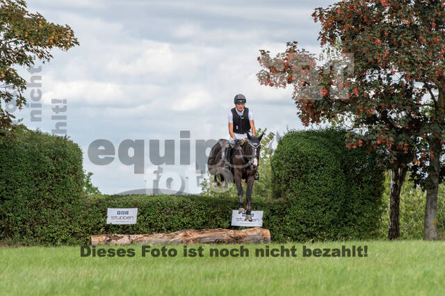Bonn-Rodderberg Late-Entry-Vielseitigkeit (30.06.2020)
