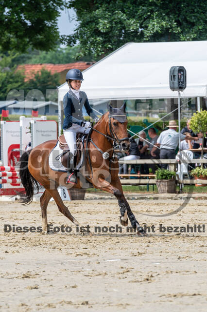 Goldene Schärpe 2021 - Ponys