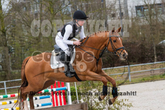 Eventing im Pferdesportzentrum Rheinland (Late Entry 14.03.2022)
