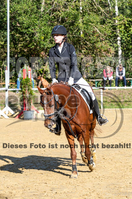 RFV Dinslaken-Hiesfeld (Herbstturnier)