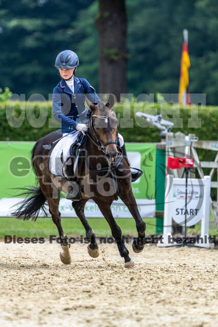 Goldene Schärpe 2021 - Ponys
