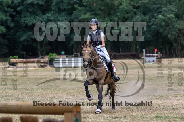 Late-Entry Vielseitigkeit Hamminkeln/Wesel (01.+02.08.2020)