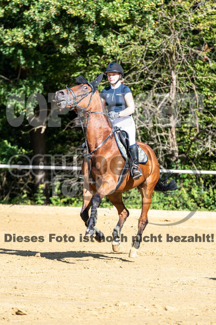 RFV Dinslaken-Hiesfeld (Herbstturnier)