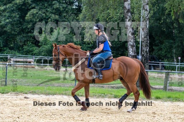 Hunter Geländetraining 10.07.2021 (Sonsbeck)