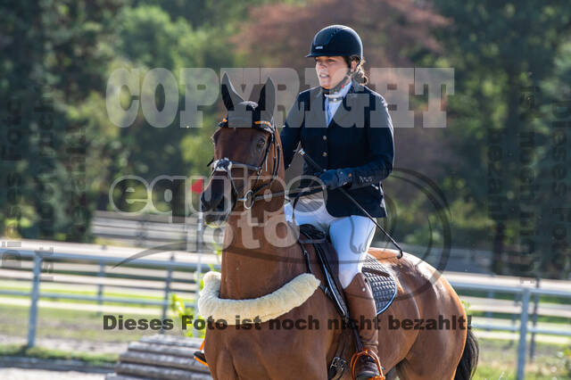 Landesturnier Rheinland, Vielseitigkeit, 22.+23.08.2020