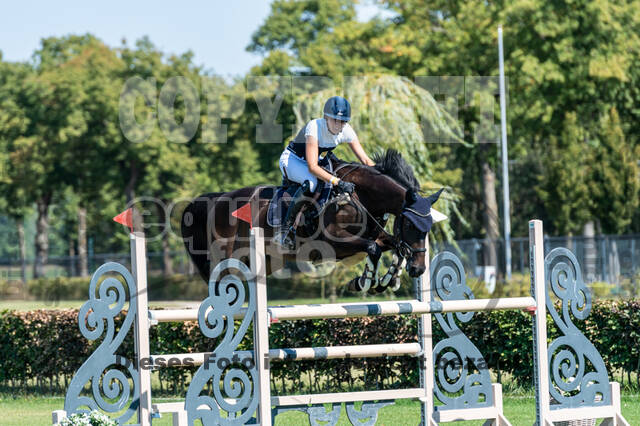 Kronenberg - De Peelbergen (August 2020)