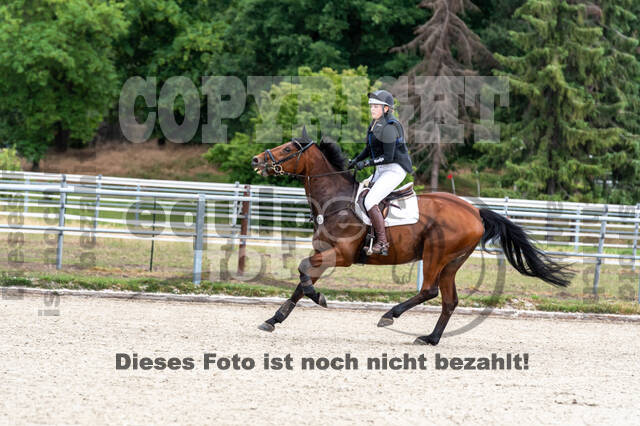 Late-Entry-Vielseitigkeit Langenfeld (11.+13./14.06.2020)