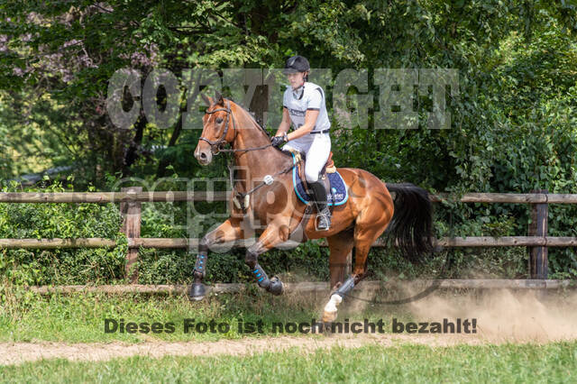 Late-Entry-Vielseitigkeit Gahlen (18.07.2020)