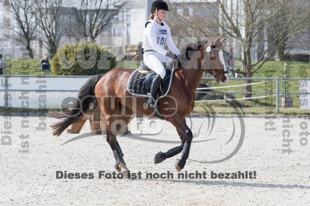 Eventing Langenfeld 2018