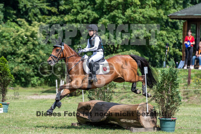 Goldene Schärpe 2021 - Ponys