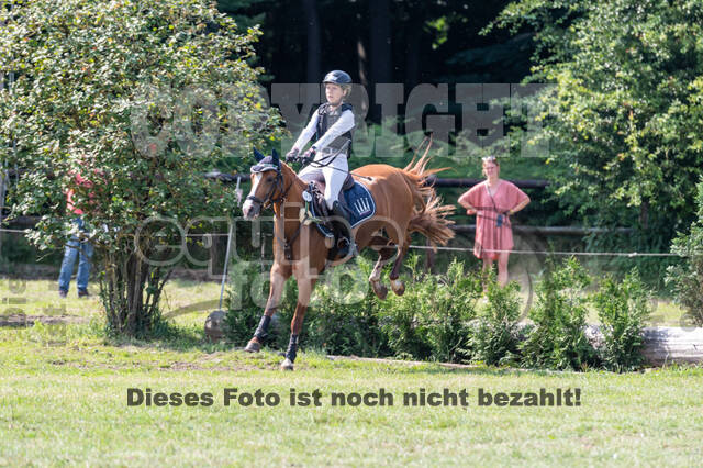 Goldene Schärpe 2021 - Ponys