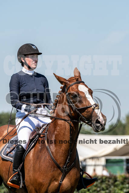 Kronenberg - De Peelbergen (August 2020)
